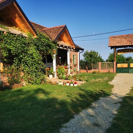 Apartamento Amanet House Zasavica Exterior foto