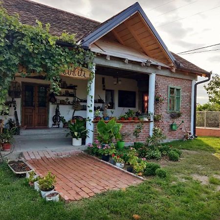 Apartamento Amanet House Zasavica Exterior foto