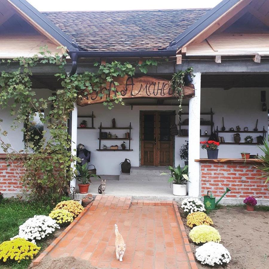 Apartamento Amanet House Zasavica Exterior foto