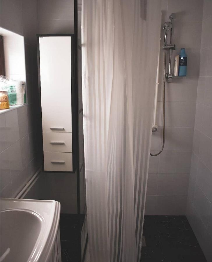 Apartamento Amanet House Zasavica Exterior foto