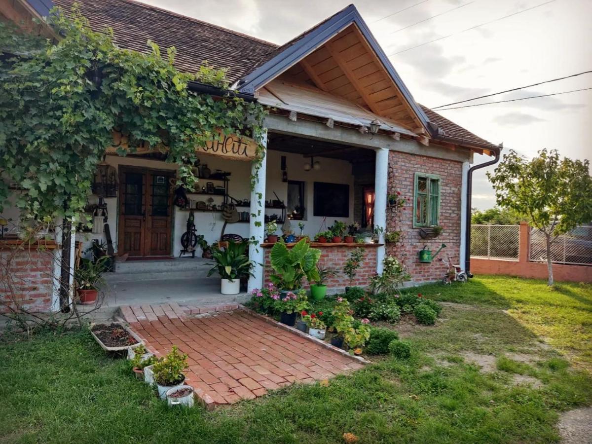 Apartamento Amanet House Zasavica Exterior foto