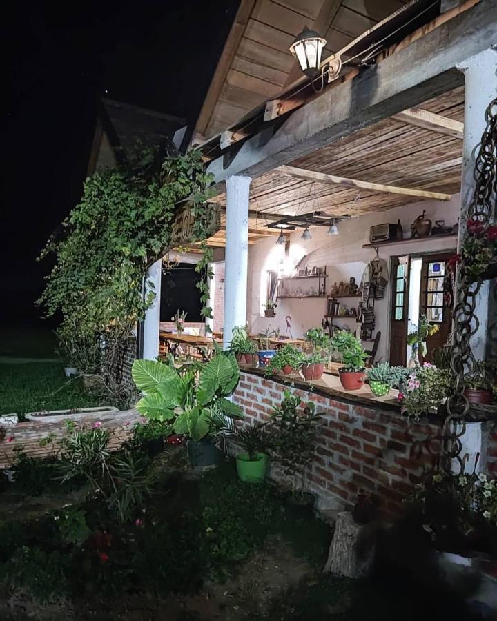 Apartamento Amanet House Zasavica Exterior foto